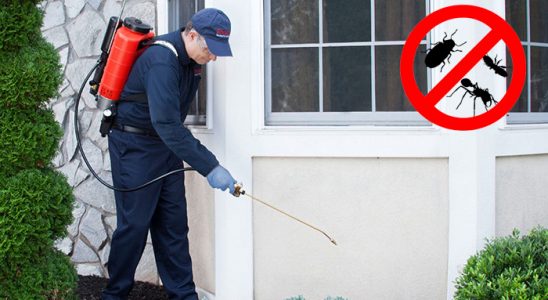 Kalkandere Bit İlaçlama böcek ilaçlama ve haşere kontrolü — ilaclama-tr.com
